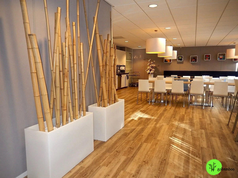 inspiracia bambusový plot